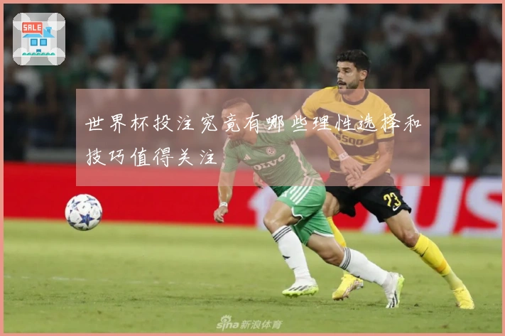 世界杯投注究竟有哪些理性选择和技巧值得关注