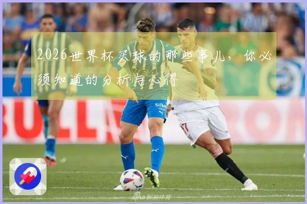 2026世界杯买球的那些事儿，你必须知道的分析与心得