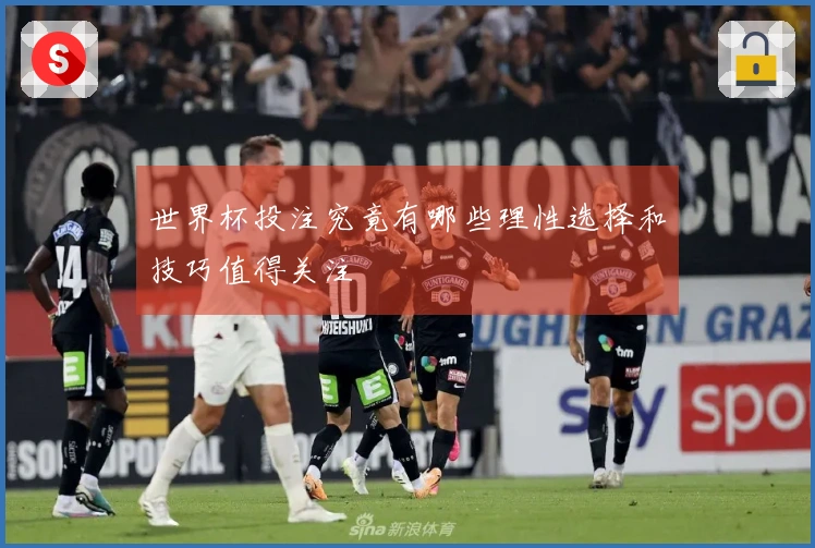 世界杯投注究竟有哪些理性选择和技巧值得关注