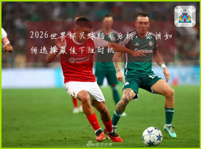 2026世界杯买球赔率分析，你该如何选择最佳下注时机