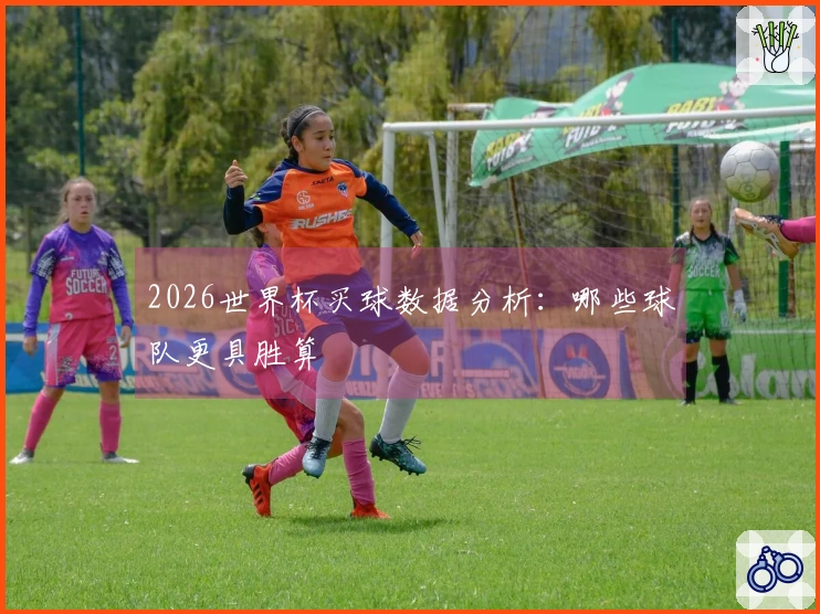 2026世界杯买球数据分析：哪些球队更具胜算
