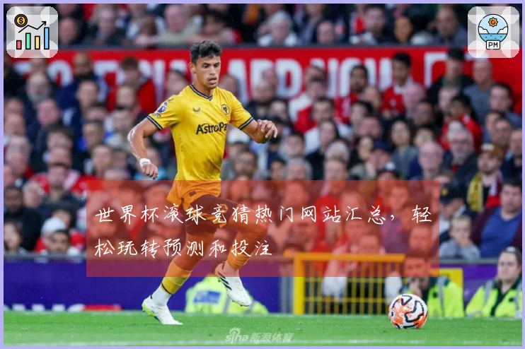 世界杯滚球竞猜热门网站汇总，轻松玩转预测和投注