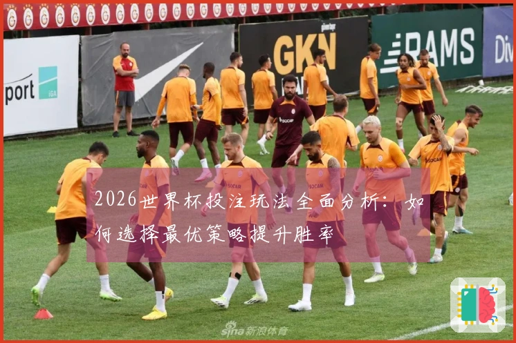 2026世界杯投注玩法全面分析：如何选择最优策略提升胜率