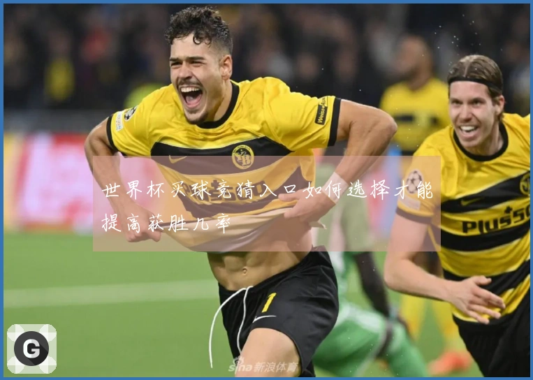 世界杯买球竞猜入口如何选择才能提高获胜几率